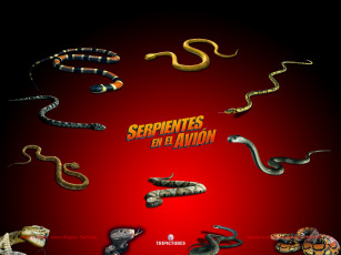 обоя кино, фильмы, snakes, on, plane