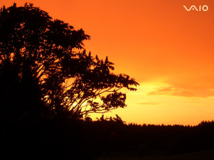 Картинка компьютеры vaio