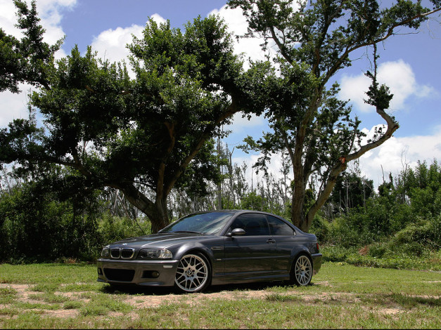 Обои картинки фото автомобили, bmw