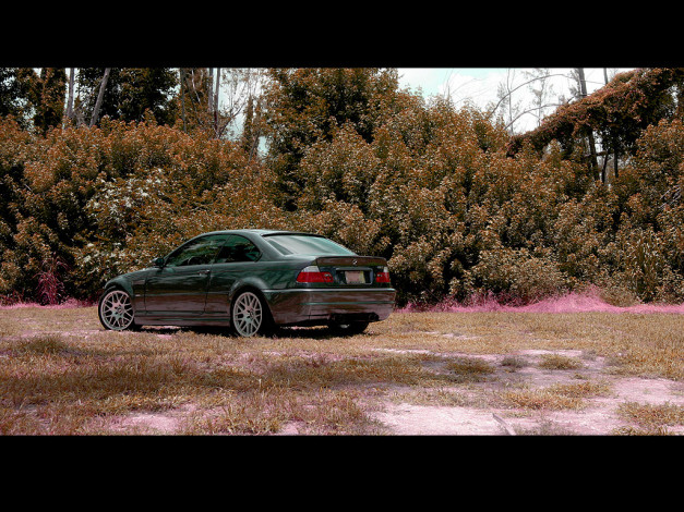 Обои картинки фото автомобили, bmw