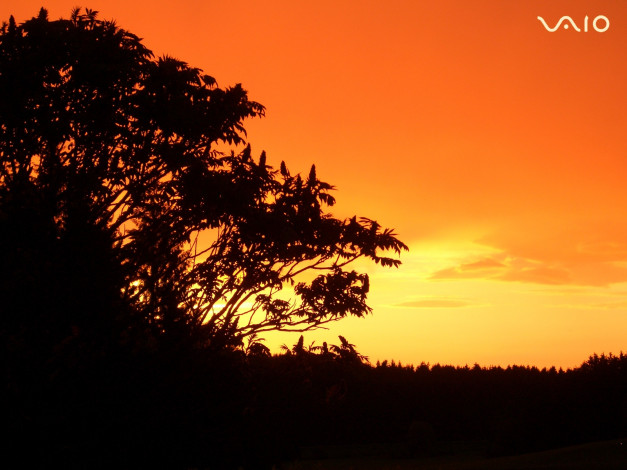 Обои картинки фото компьютеры, vaio