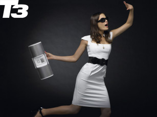 Картинка бренды t3