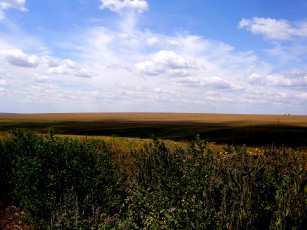 Картинка природа