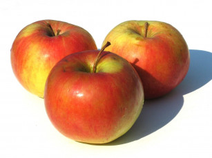 Картинка еда Яблоки