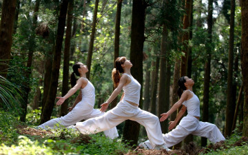 Картинка спорт гимнастика