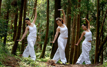 Картинка спорт гимнастика