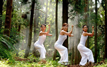 обоя спорт, гимнастика