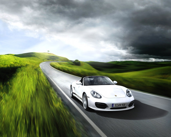 Обои картинки фото автомобили, porsche