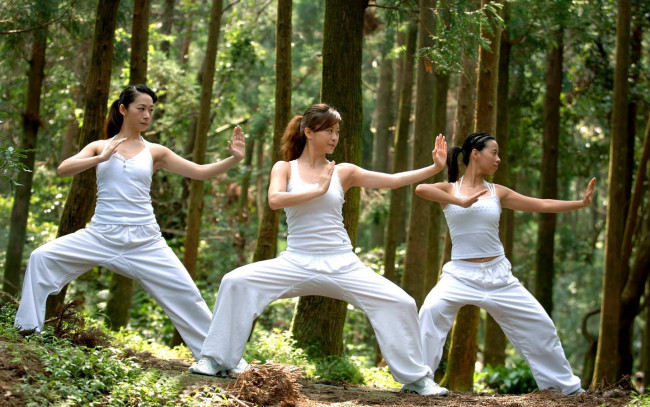 Обои картинки фото спорт, гимнастика