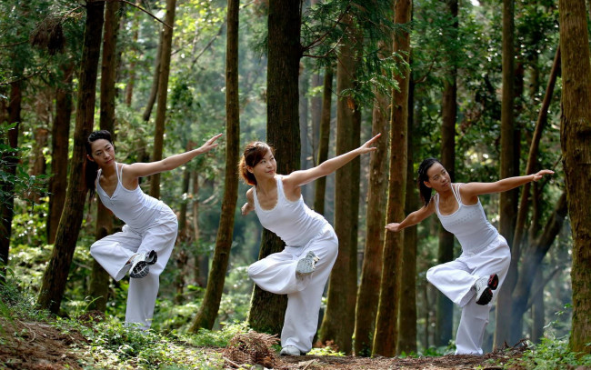 Обои картинки фото спорт, гимнастика