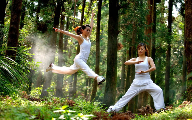 Обои картинки фото спорт, гимнастика