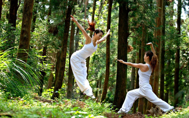 Обои картинки фото спорт, гимнастика