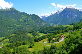 Картинка switzerland rueggisberg природа горы растения ели