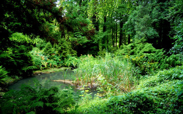 Картинка польша курник природа парк