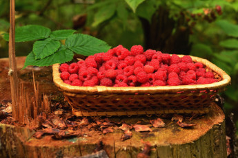 Картинка еда малина ягоды