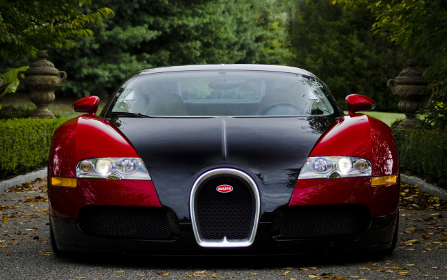 Обои картинки фото автомобили, bugatti, veyron