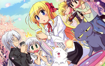 Картинка аниме fortune+arterial кролик девочки мальчики кот