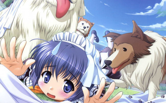Обои картинки фото yoake mae yori ruri iro na, аниме, девушка, собаки