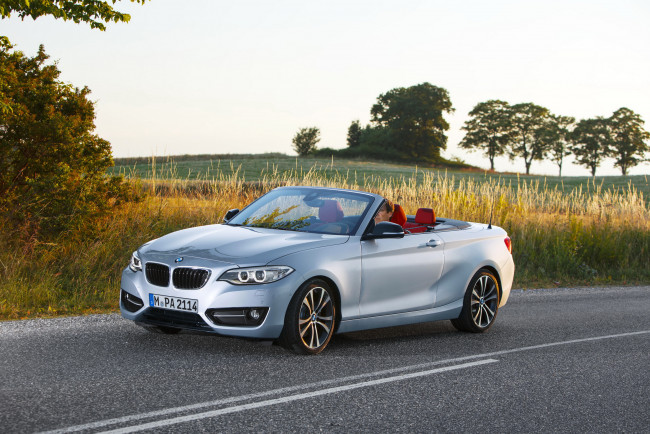 Обои картинки фото 2014 bmw 228i f23 convertible, автомобили, bmw, металлик, кабриолет, серебристый