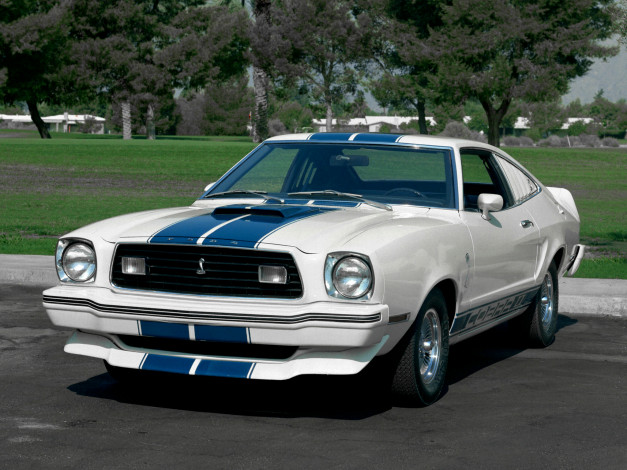 Обои картинки фото автомобили, mustang