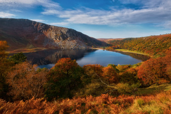 Картинка природа реки озера лес река