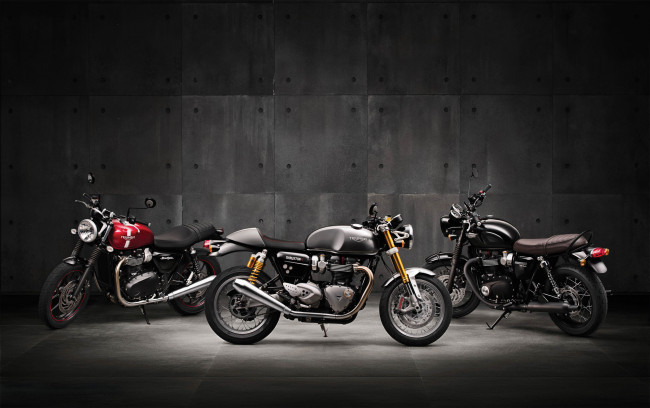 Обои картинки фото мотоциклы, triumph