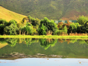 Картинка природа реки озера отражение