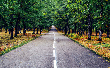 Картинка природа дороги шоссе