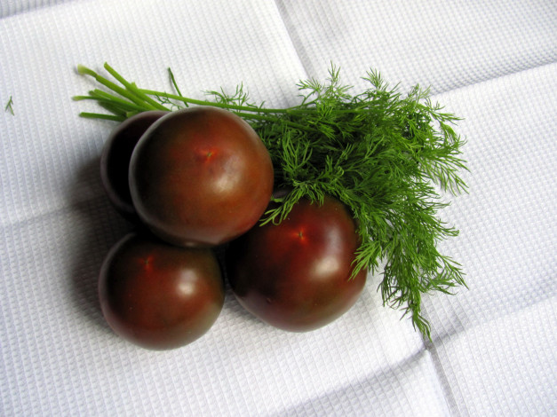Обои картинки фото еда, помидоры, укроп