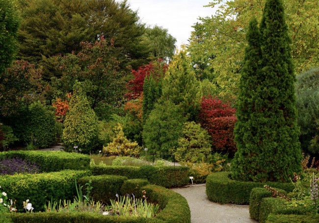 Обои картинки фото природа, парк, кусты, деревья, аллея