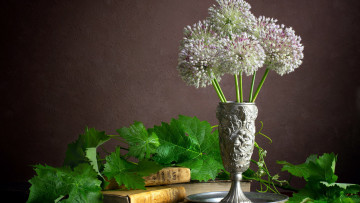 Картинка чеснок цветы букеты +композиции