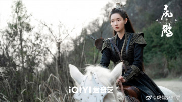 Картинка кино+фильмы tiger+and+crane девушка всадница