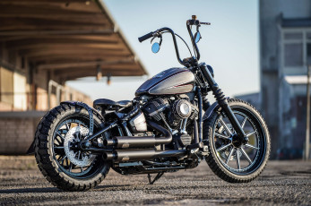 Картинка harley мотоциклы harley-davidson мотоцикл байк custom thunderbike