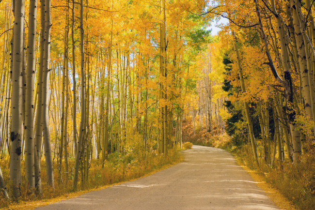 Обои картинки фото природа, дороги, пейзаж