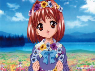 Картинка аниме sister princess