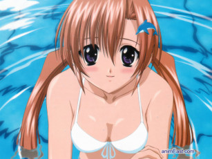 Картинка аниме sister princess