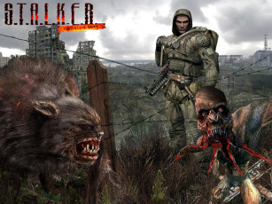 Картинка видео игры shadow of chernobyl