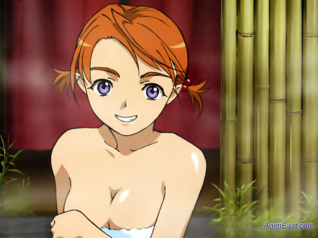 Обои картинки фото аниме, mai, hime