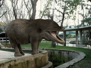 Картинка зверюги фотошопляндии 14 юмор приколы