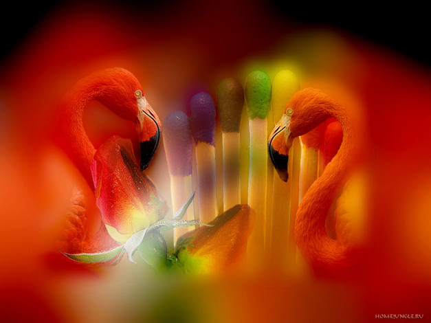 Обои картинки фото разное