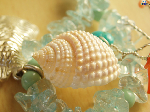 Обои картинки фото разное, ракушки, кораллы, декоративные, spa, камни