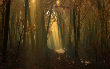 Картинка 3д графика nature landscape природа