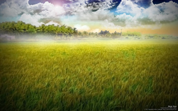 Картинка природа