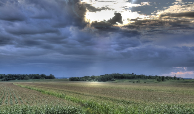 Обои картинки фото природа, поля, деревья, закат, небо, тучи, вечер