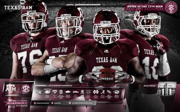 Картинка спорт американский футбол игроки