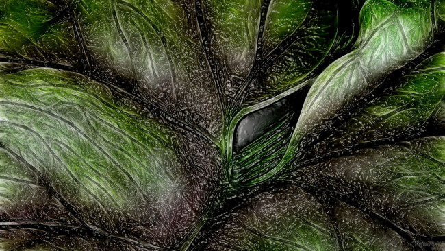 Обои картинки фото 3д, графика, abstract, абстракции, узор, цвет, фон