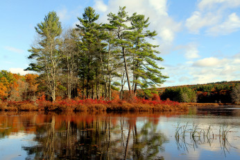 Картинка природа реки озера лес река осень