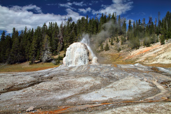 Картинка природа стихия лес плато гейзер