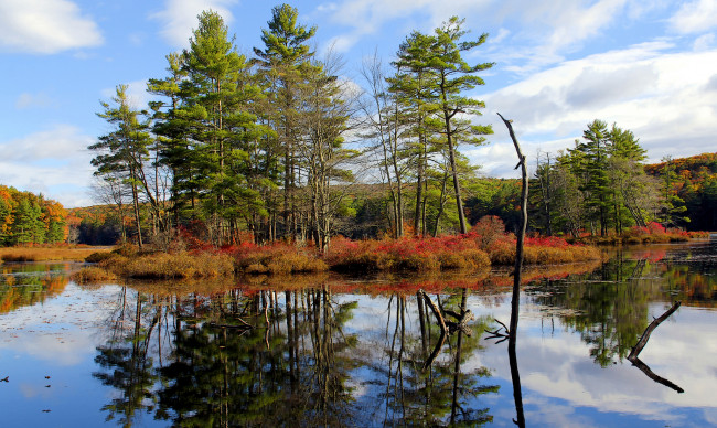 Обои картинки фото природа, реки, озера, лес, река, осень