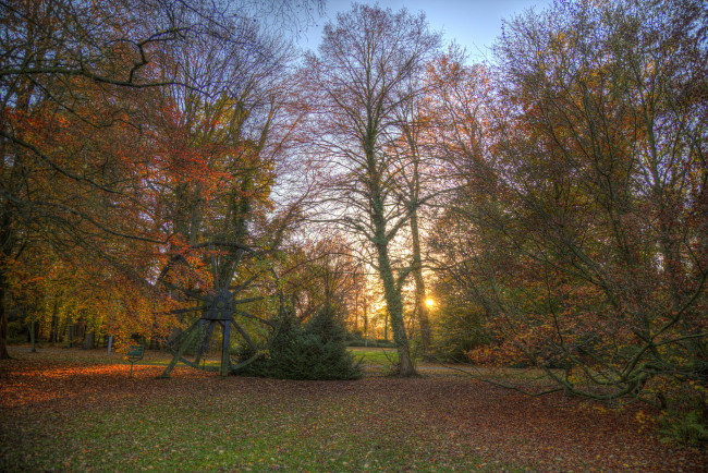 Обои картинки фото природа, лес, поляна, свет, осень